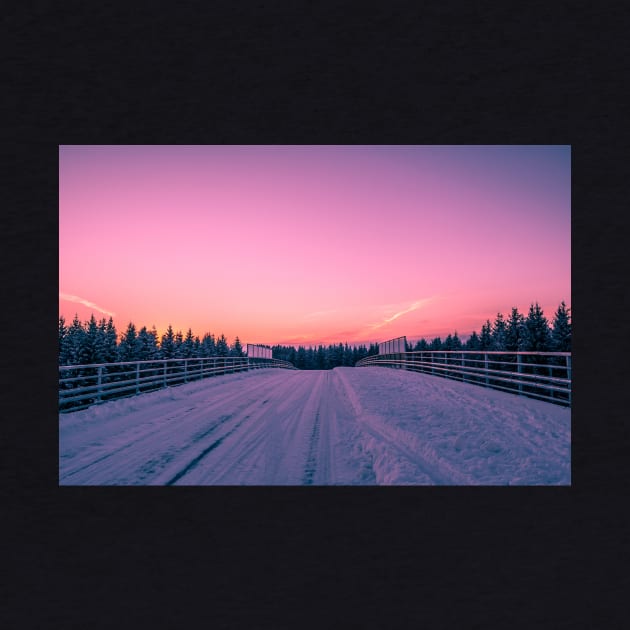 Winter Wonderland by iluphoto